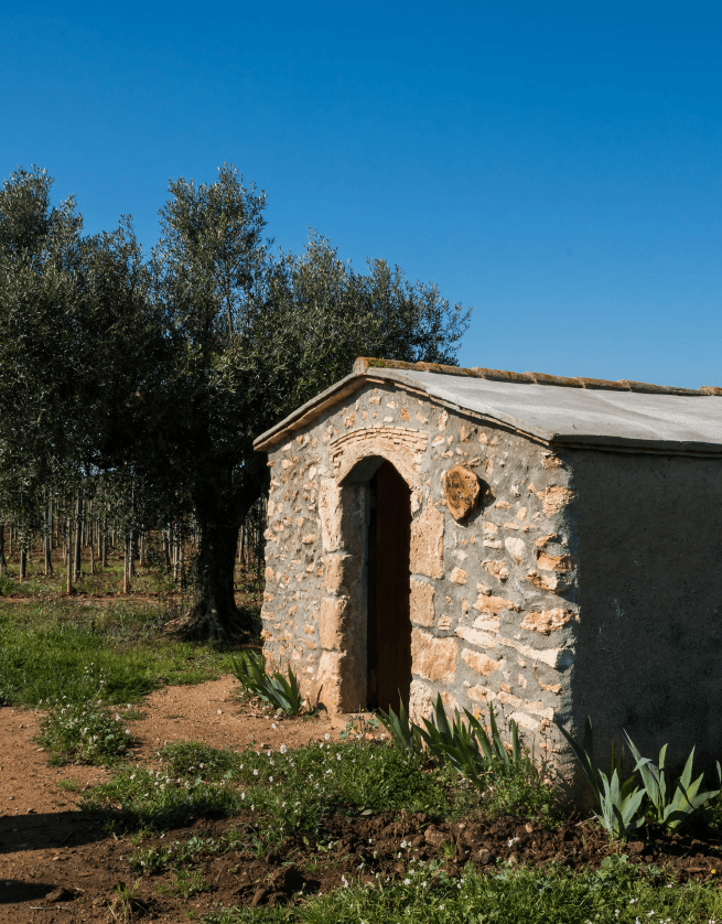 Finca Mas Perdut