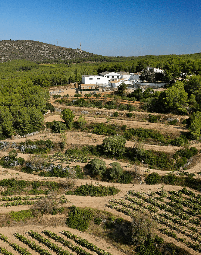 Finca Valldosera