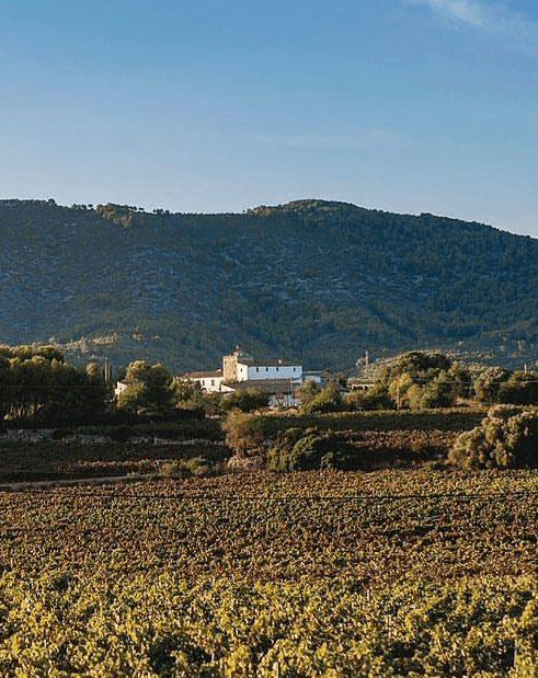 Vega de Ribes