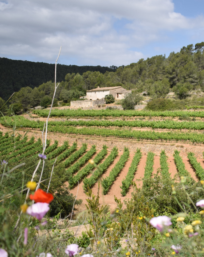 Puig Batet
