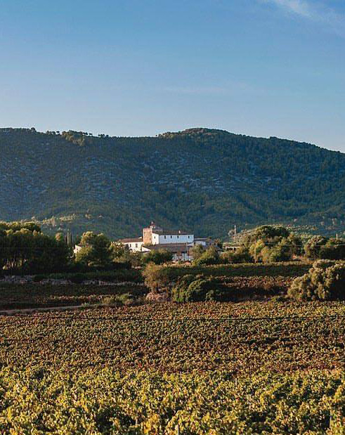 Vega de Ribes